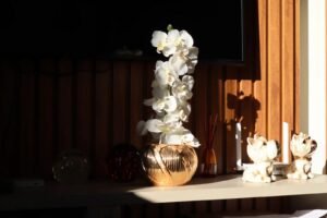 Орхідея: догляд у домашніх умовах, полив і повторне цвітіння
