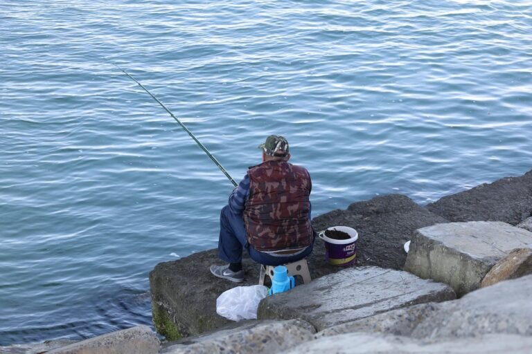 Рибалка в Житомирі та області: річки, водосховища і правила